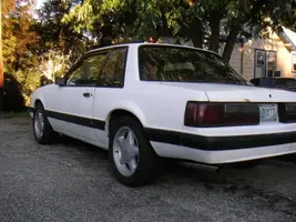 mustang004.webp