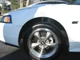 Stang004.webp