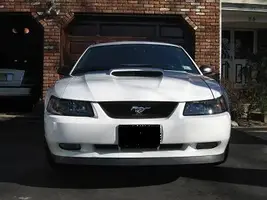 Stang003.webp