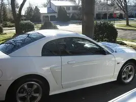 Stang002.webp