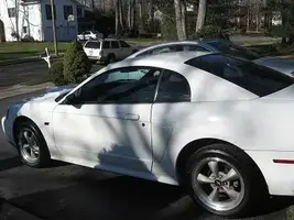Stang001.webp