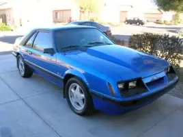 Mustang_002.webp
