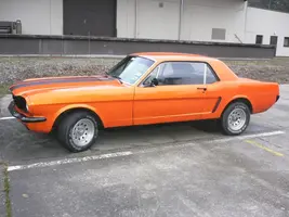 Picture_130.webp