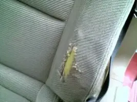 seat02.webp