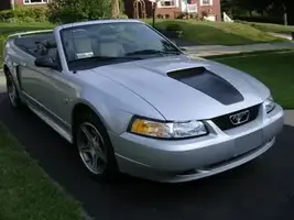 Mustang0127.webp