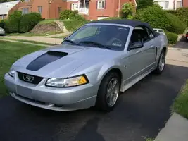 Mustang0125.webp