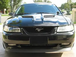 front.webp