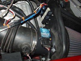 2007-0131_snake-relays-800.webp