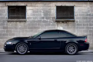 niceblack5iu.webp