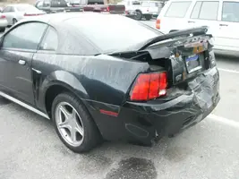stang01.webp