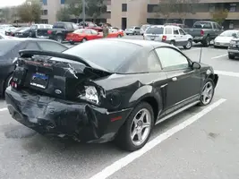 stang03.webp