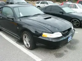 stang04.webp