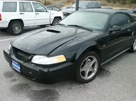stang06.webp