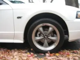 Whitestang002-1.webp