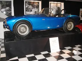 1stCobra.webp