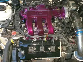 DSCF0910.webp