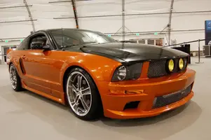 MT-show-1.webp