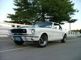 DSCF3892.webp