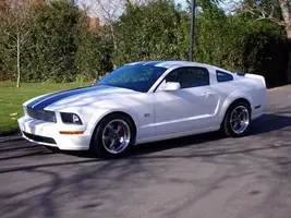 mustangfinished001.webp