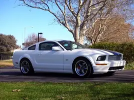 mustangfinished011.webp