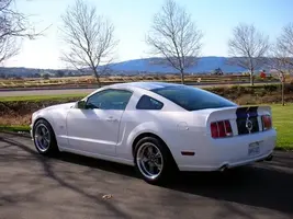 mustangfinished006.webp