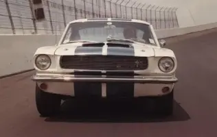 1-shelbygrill.webp