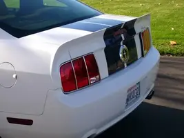 mustangfinished016.webp