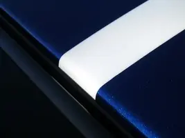 mustangfinished022.webp