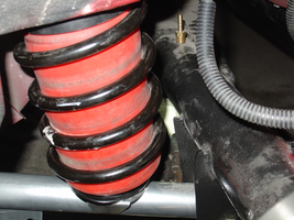 2007-0120_04snake_MachSpring-800.webp