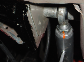 2007-0120_04snake_TB-lower-800.webp