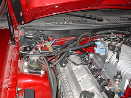 2007-0120_04snake_NOSnoids-800.webp