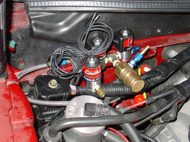 2007-0120_04snake_noidsZOOM-800.webp