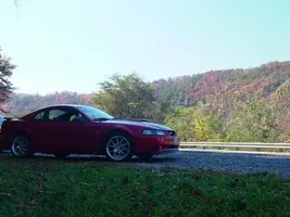 DSCF1410-1.webp