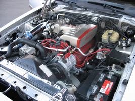 123958706-O.webp