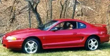 dadsoldstang.webp