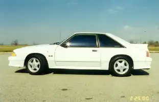 momsoldstang.webp