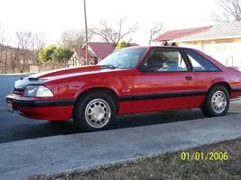 mustang1.webp