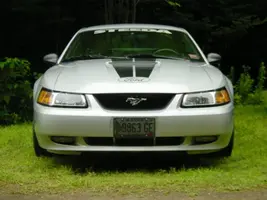 dsc00020to0.webp