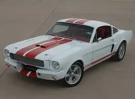 GT350SR17.webp