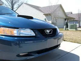 Picture013.webp