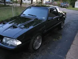 stang5.webp