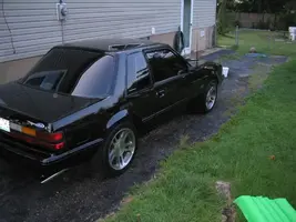 stang4.webp