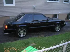 stang7.webp