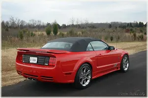 111678545-L.webp
