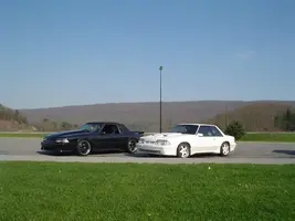 Stangs.webp