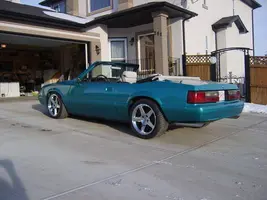 picture284ev1.webp
