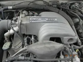 DSCN0505.webp
