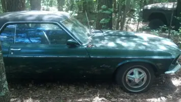 stang1.webp stang1.webp