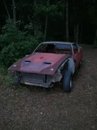mustang 001.webp