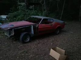 mustang 002.webp
